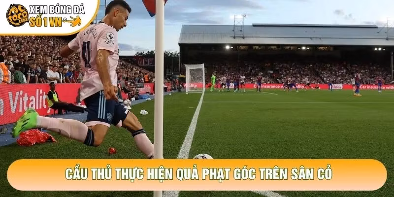 Cầu thủ thực hiện quả phạt góc trên sân cỏ