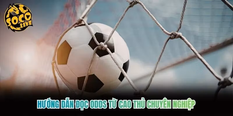 Hướng Dẫn Đọc Odds Từ Cao Thủ Chuyên Nghiệp