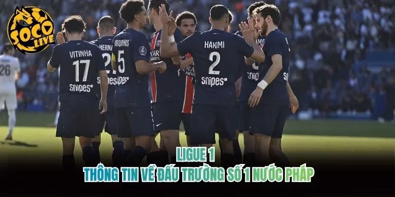 Ligue 1 – Thông Tin Về Đấu Trường Số 1 Nước Pháp 2026