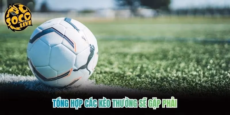 Các Loại Kèo Phổ Biến Thường Gặp Ở Sân Bóng Cho Năm 2026